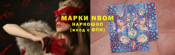 кокс Алексин
